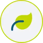 Leaf Leaf